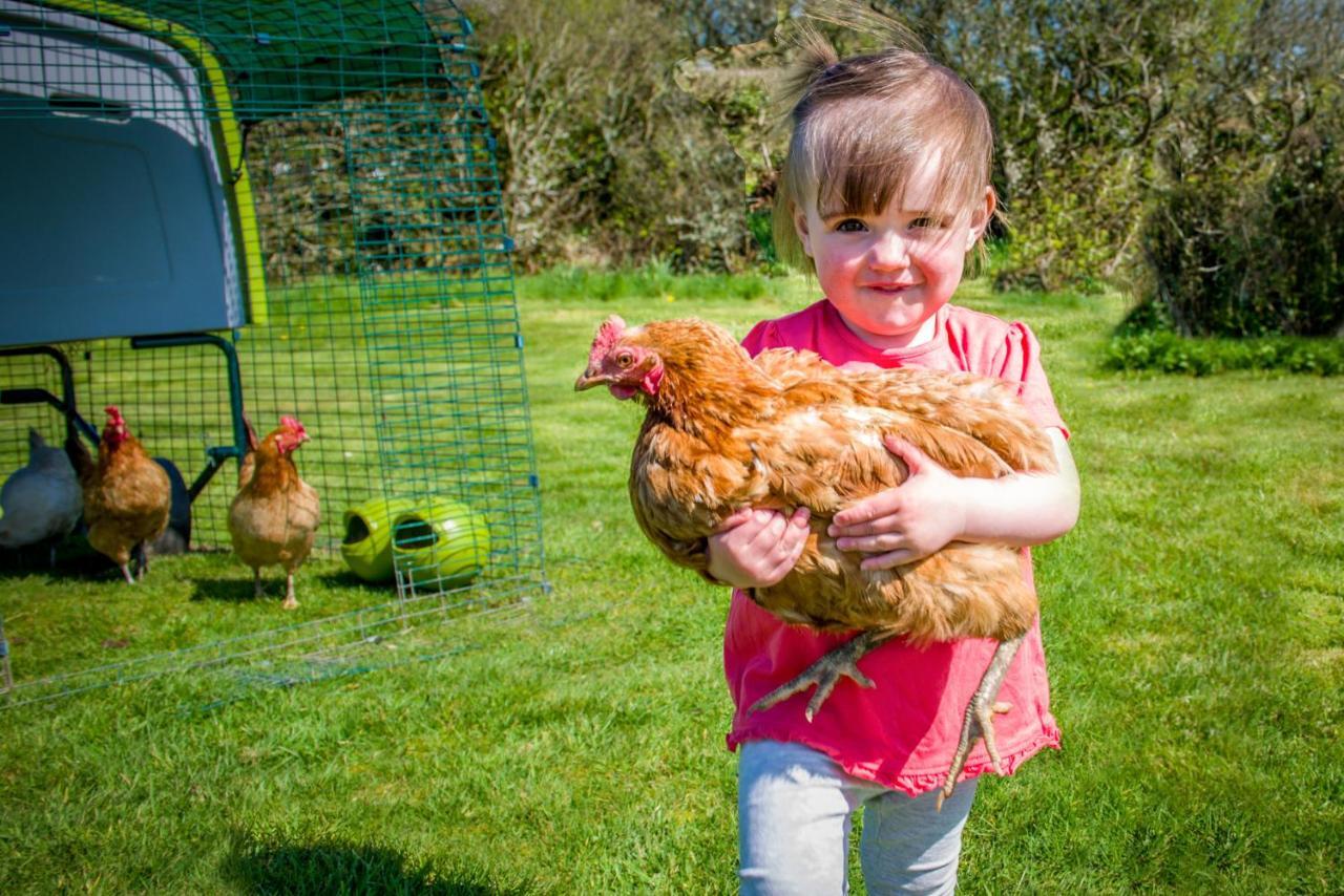 Cargurra Park Farm Villa Boscastle Exteriör bild